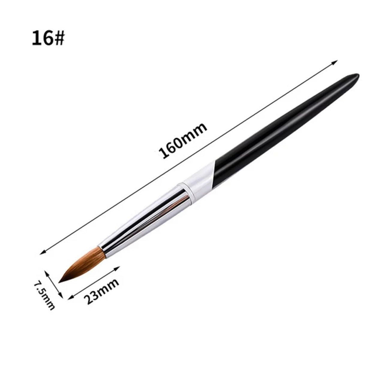 ACRYLIC BRUSH 100% KOLINSKY #16
